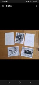 Hard To Kill Press Kit