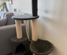 Cat house