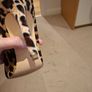River Island leopard print shoes Image 3