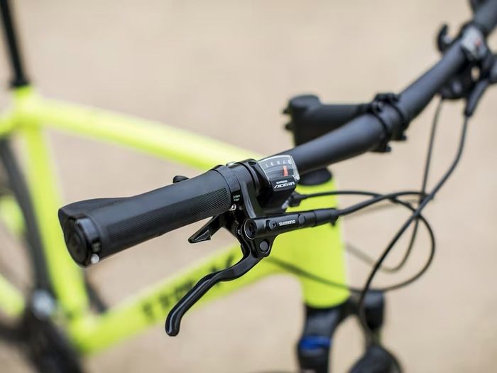 Trek Dual Sport 3