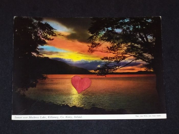 Ireland Postcard : Sunset Over Muckross Lake , Killarney , Co. Kerry - 1970s