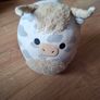 Squishmallow teddys Image 6