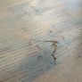 corner dining table and bench Image 9