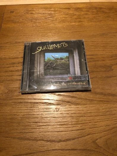 guillemots - through the windowpane