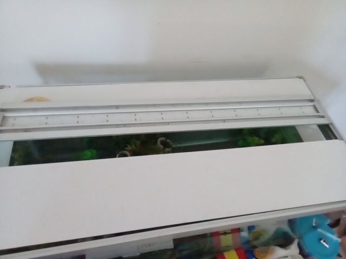 Fish Tanks For Sale