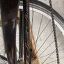 ladies bicycle Image 10