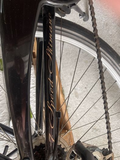 ladies bicycle