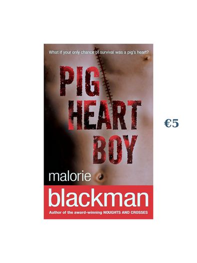 Novels / Fiction Books for Quick Sale
