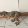 Jurassic World Dinosaurs Image 8