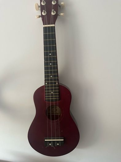 Beginner Ukalele