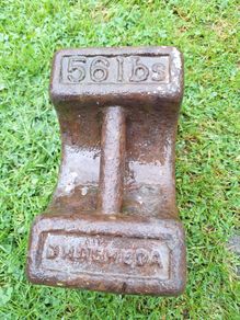 56lb Weight
