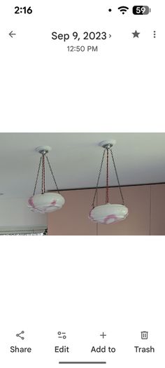 Vintage flycatcher ceiling shades