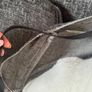 FREE corner Couch cushion ripped in photos Image 3