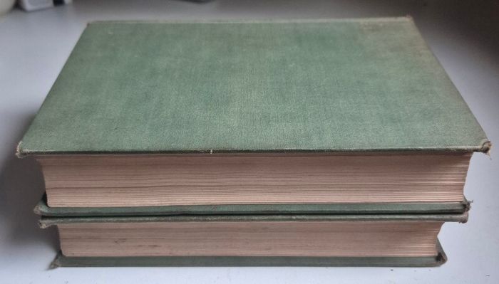 P.W. Joyce's A Social History of Ancient Ireland, 1920