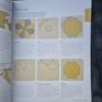 Ultimate Quilting Bible: A Complete Reference with Step by Step Techniques Image 5