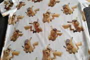 Pokemon Tee-ashirt
