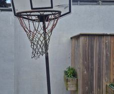 Free basketball hoop