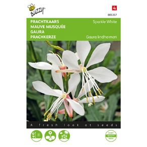 Buzzy Gaura 'Sparkle White' Seeds 15s | Sow in July