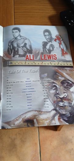 Boxing programme