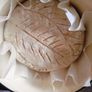 Live Sourdough Bread Starter Image 10
