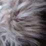 ZARA Ladies Winter Jacket Image 3