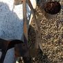 Iron table legs Image 2