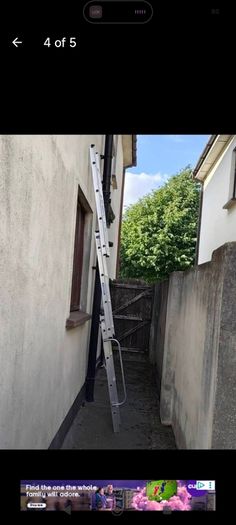 ladder