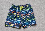 Boys Swim Shorts