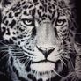 T-shirt Image 9