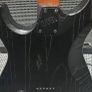 ESP LTD SN1000HT Fire Blast. EMG Demonium (Jim root) pickups Image 5