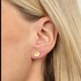 9ct gold diamond earrings Image 3
