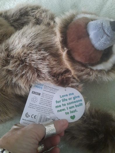 planet earth posh paws sloth