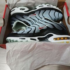 Sneakers Nike air max plus