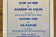 2001 Rathnure v Harriers &amp; St Anne's v Rapparees - GAA Wexford Hurling Club S.F Programme