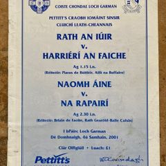 2001 Rathnure v Harriers & St Anne's v Rapparees - GAA Wexford Hurling Club S.F Programme