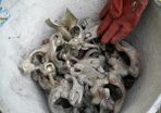 Bucket of scaffolding parts