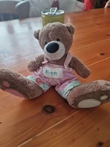 teddy me to