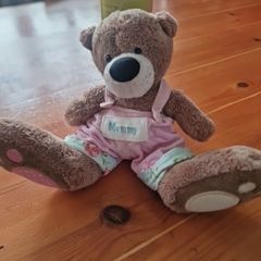 teddy me to