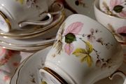 Salisbury 21 Piece China Teaset