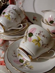 Salisbury 21 Piece China Teaset