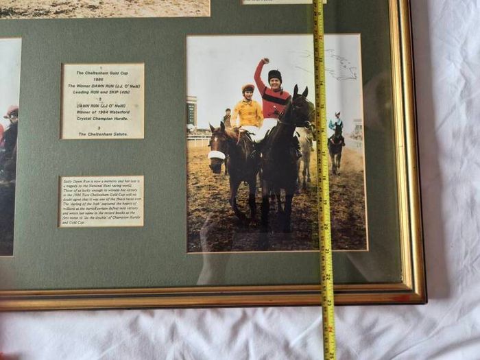 Signed Horse racing memorabilia Dawn Run Jonjo O'Neill