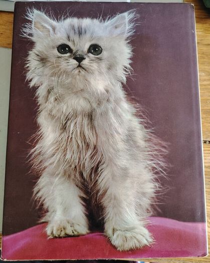 The World of Cats