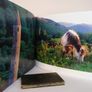 Wicklow: A Personal View by Walter Pfeiffer (Signed by the Author - Limited Edition) (PT227) Image 8