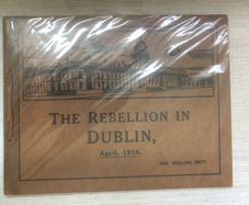 Easter Rising 1916 - The Rebellion in Dublin book