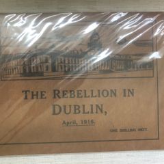 Easter Rising 1916 - The Rebellion in Dublin book