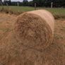 Round Hay bales Image 3