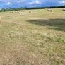 Good Hay  for Sale Co Meath Image 2