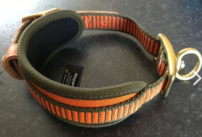New dog collar by Niggeloh