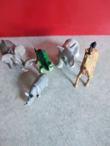Selection of wild ANIMAL  .