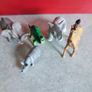 Selection of wild ANIMAL  . Image 6